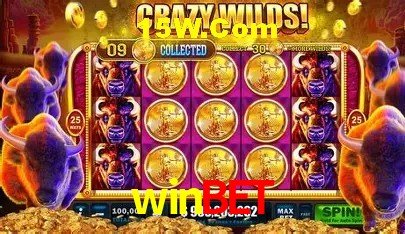 Jackpots e promoções na winbet